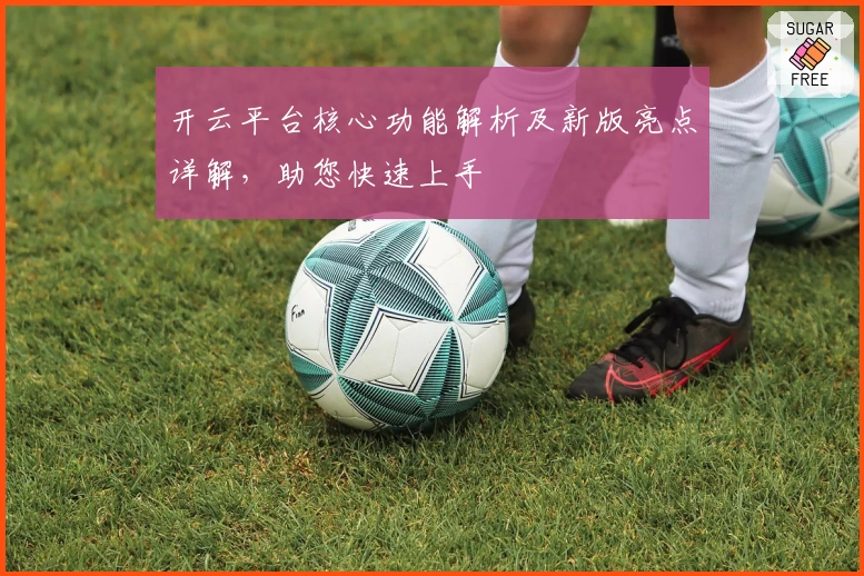 开云平台核心功能解析及新版亮点详解,助您快速上手